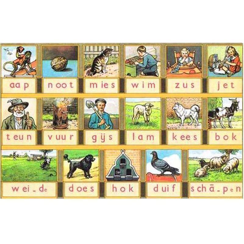 Cartoon Collage 5D D...