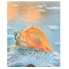 Sea Shell 5D DIY Paint By Diamond Kit