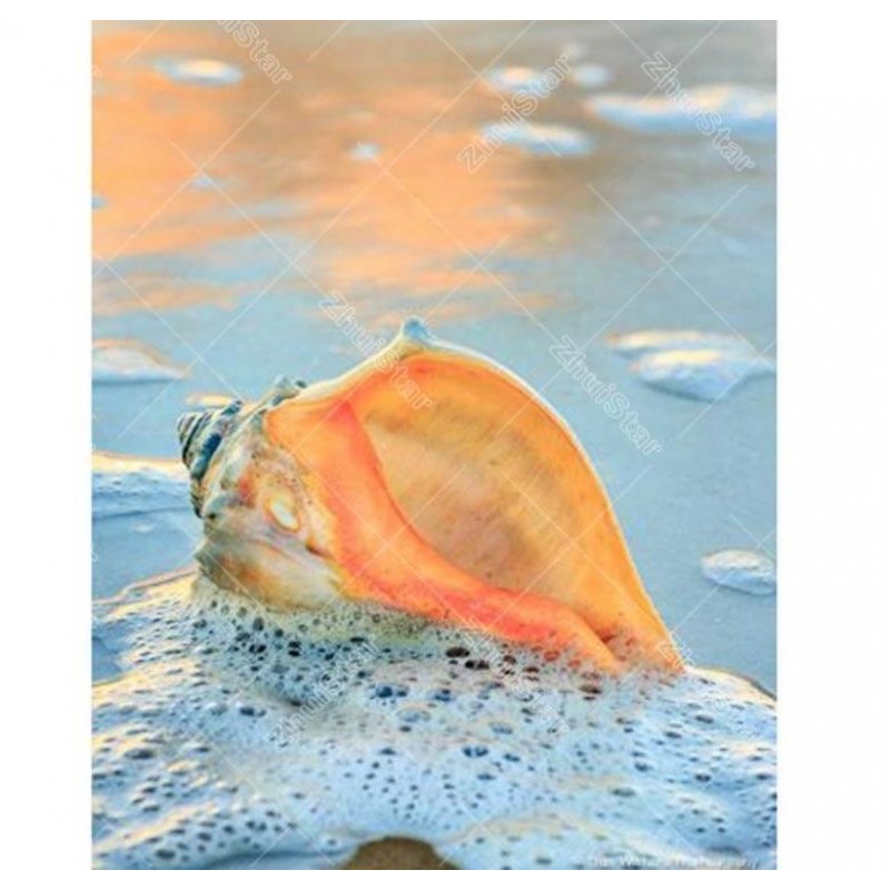 Sea Shell 5D DIY Pai...