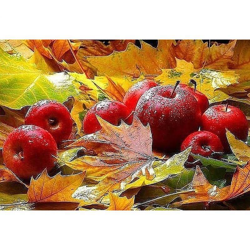 Red Apple 5D DIY Pai...