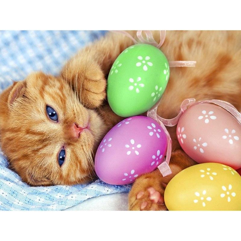 Cat & Egg 5D DIY...