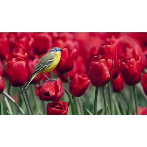 Bird On Red Flowers 5D DIY Paint By Diamond Kit