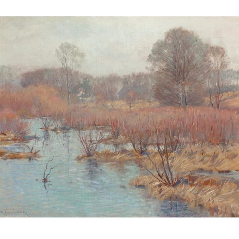 Spring Wetland by Al...