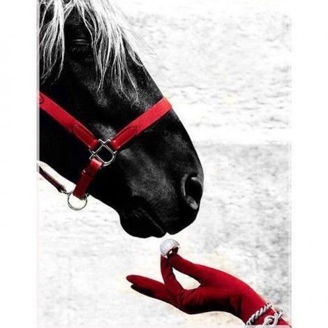 Black Horse 5D DIY Paint By Diamond Kit