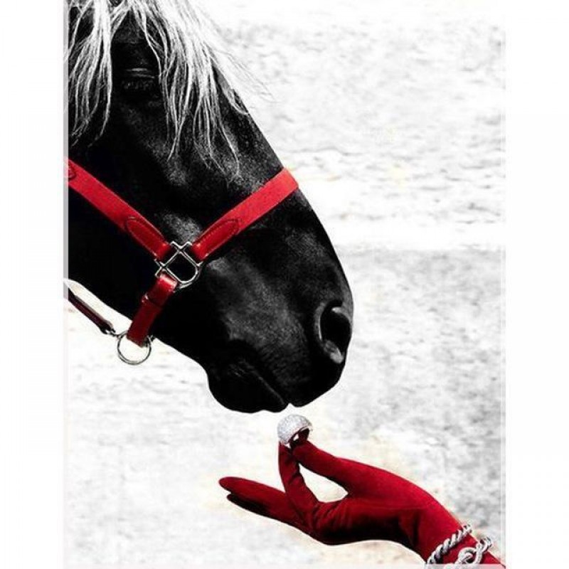 Black Horse 5D DIY P...