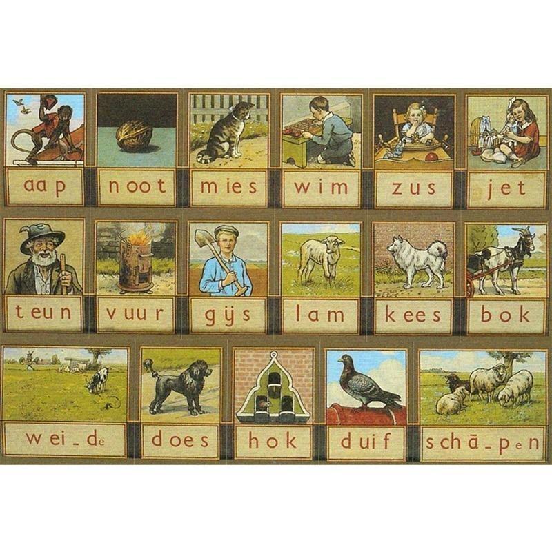 Child Education 5D D...