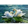 Swans In Love Paint By Diamond Kit