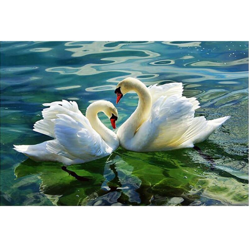 Swans In Love Paint ...