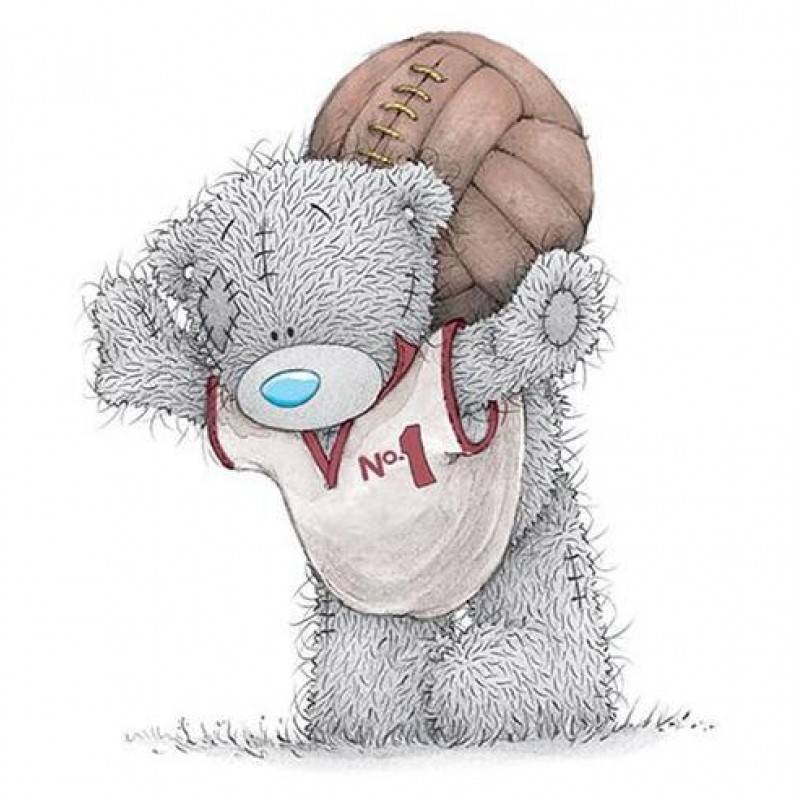 Basketball Bear 5D D...