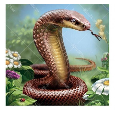 Serpent  5D DIY Paint By Diamond Kit