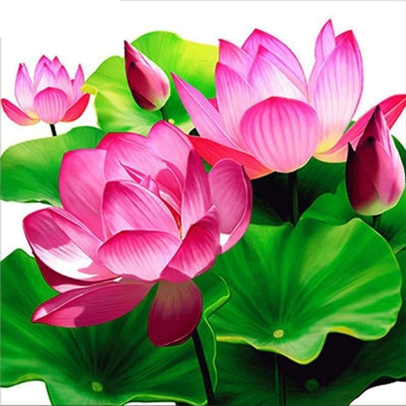 Lotus Flower 5D DIY ...