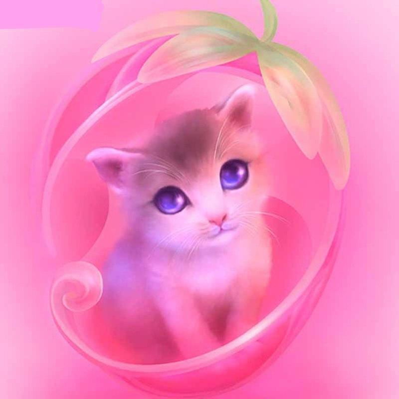 Pet Cat 5D DIY Paint...
