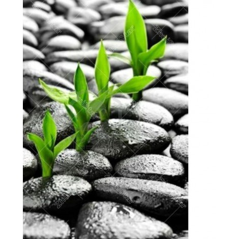 Stone Sprouting 5D DIY Paint By Diamond Kit