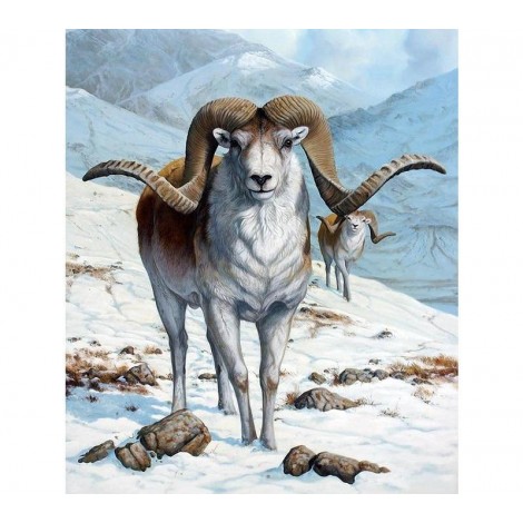 Argali 5D DIY Paint By Diamond Kit