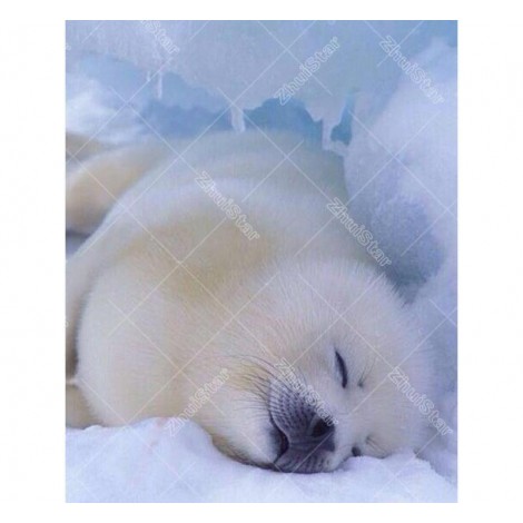 Sleeping Seal 5D DIY Paint By Diamond Kit