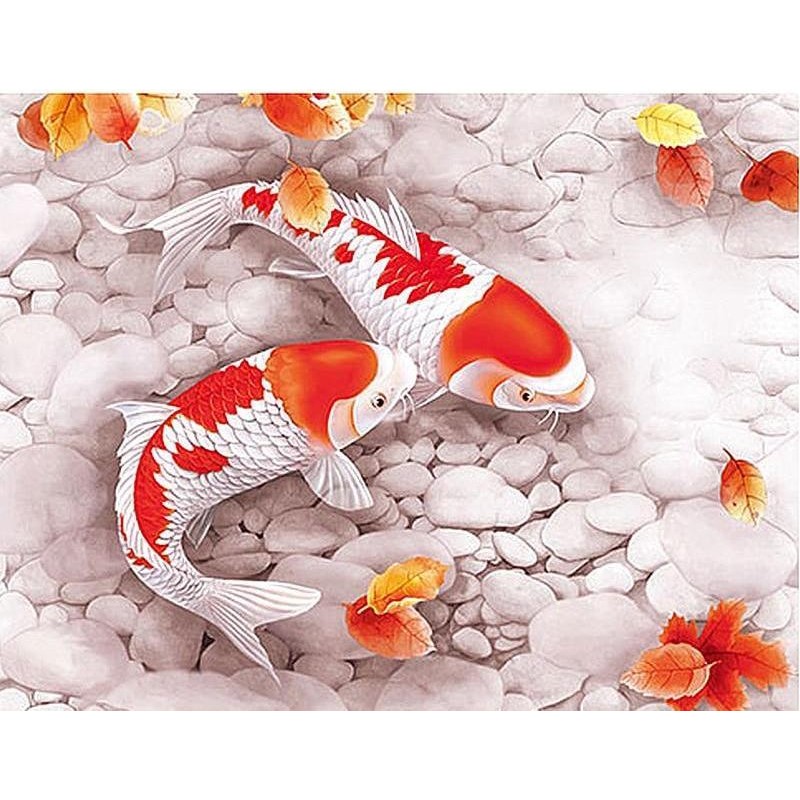 Red & White Fish...