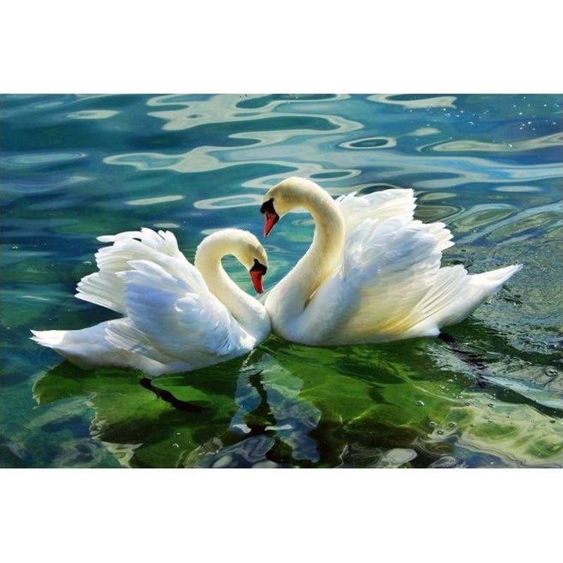 Swan Lake 5D DIY Pai...
