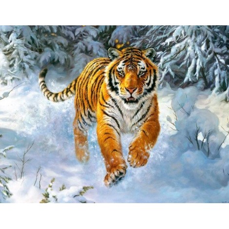 Tiger In The Snow 5D DIY Paint By Diamond Kit