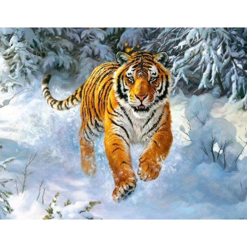 Tiger In The Snow 5D...