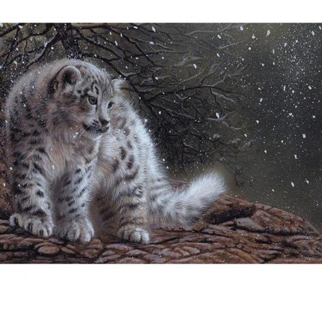 White Cat 5D DIY Paint By Diamond Kit