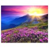 Sunrise in Flower Valley 5D DIY Paint By Diamond Kit