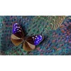 Vivid Butterfly 5D DIY Paint By Diamond Kit