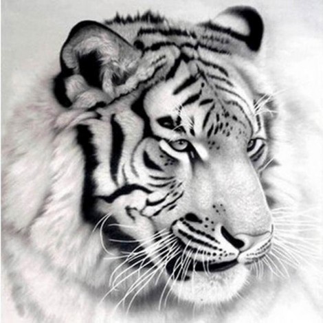 Black & White Tiger 5D DIY Paint By Diamond Kit