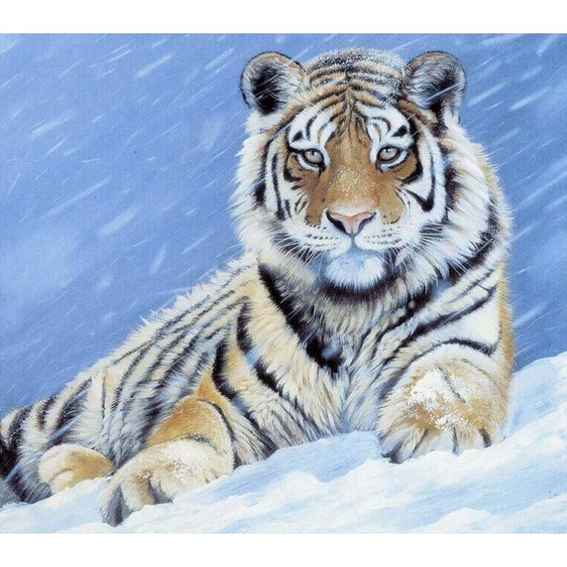 Tiger in the Snow 5D DIY ...