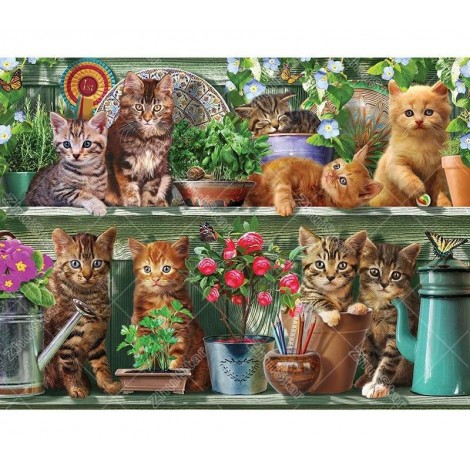 Cute Kittens 5D DIY Paint By Diamond Kit