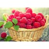 Raspberry Basket 5D DIY Paint By Diamond Kit
