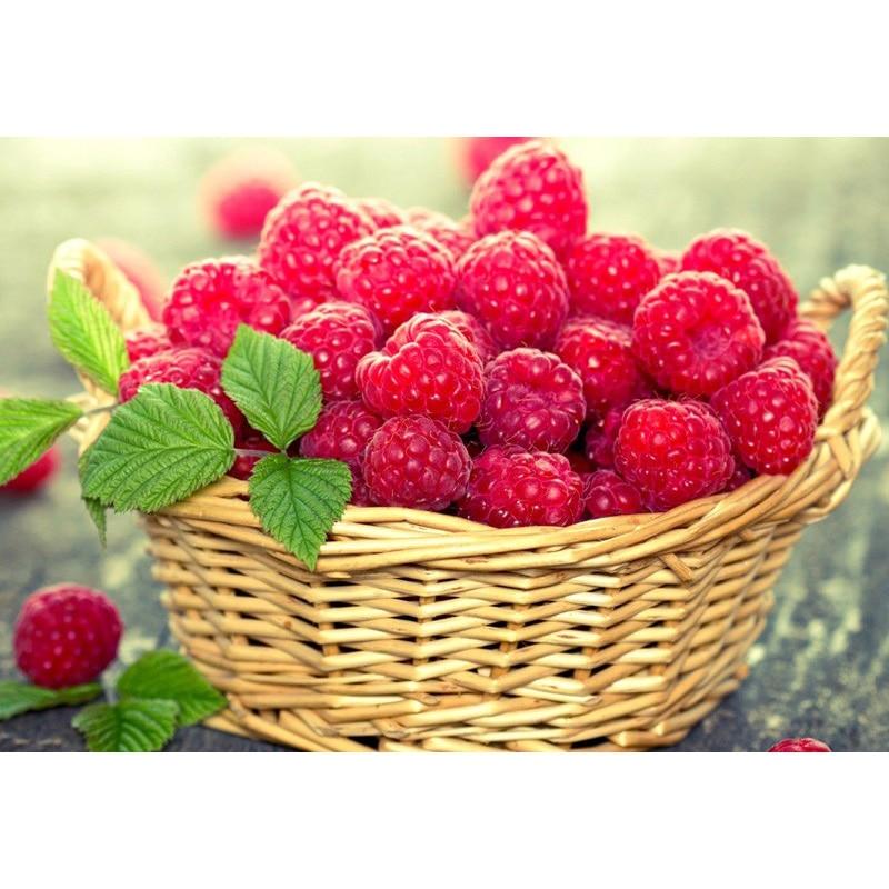 Raspberry Basket 5D ...