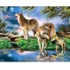Wolf In Forest 5D DIY Paint By Diamond Kit