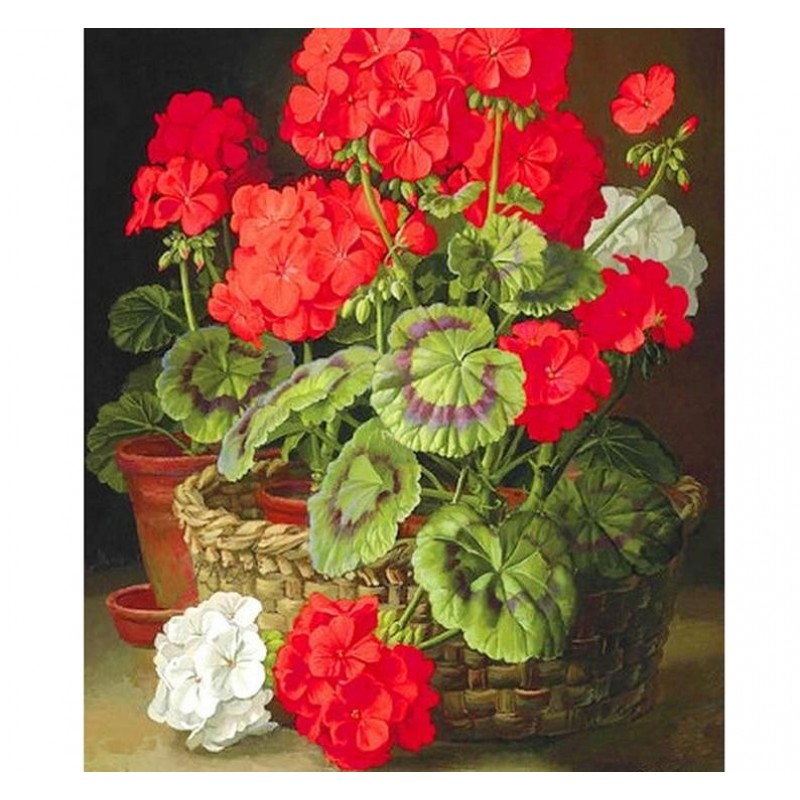 Red Flowers 5D DIY P...