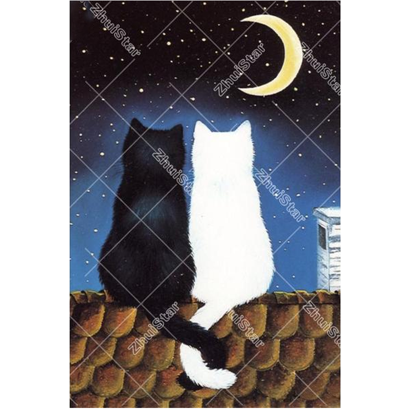 Black white cat5D DI...