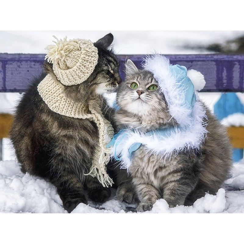 Cat Couple In Snow 5...