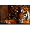 Tiger animals 5D DIY Paint By Diamond Kit