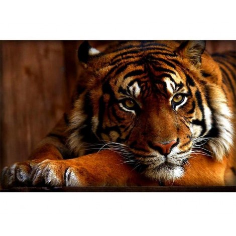 Tiger animals 5D DIY Paint By Diamond Kit