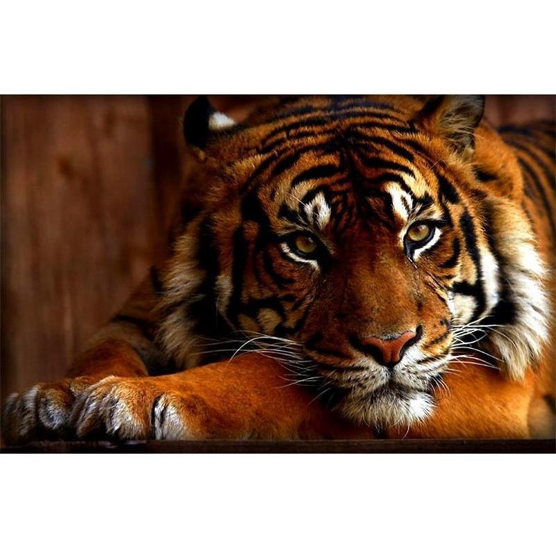 Tiger animals 5D DIY...
