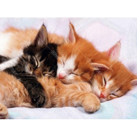 Sleeping Kittens 5D DIY Paint By Diamond Kit