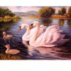 Beautiful Swan Swimming 5D DIY Paint By Diamond Kit