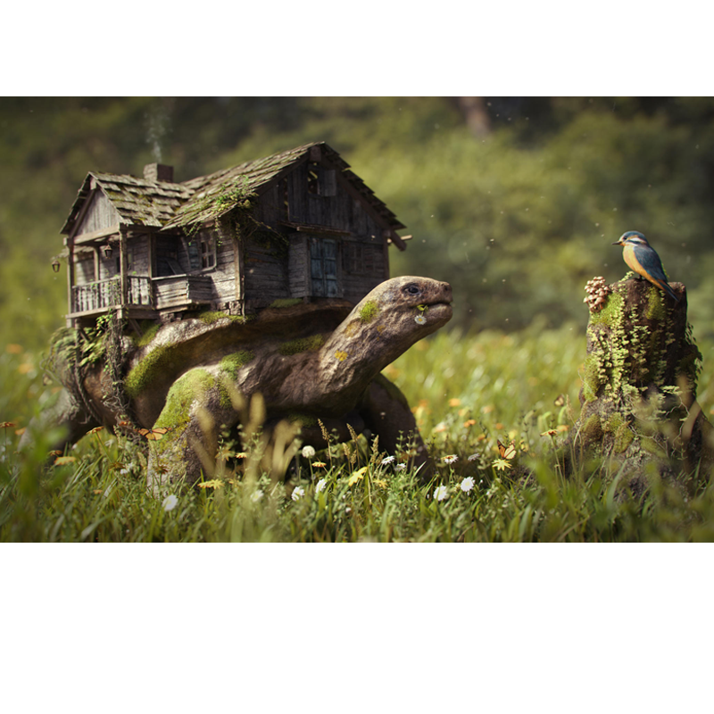 Turtle House 5D DIY ...