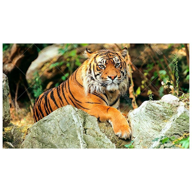 Tiger 5D DIY Paint B...