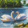 Swans in Love 5D DIY Paint By Diamond Kit