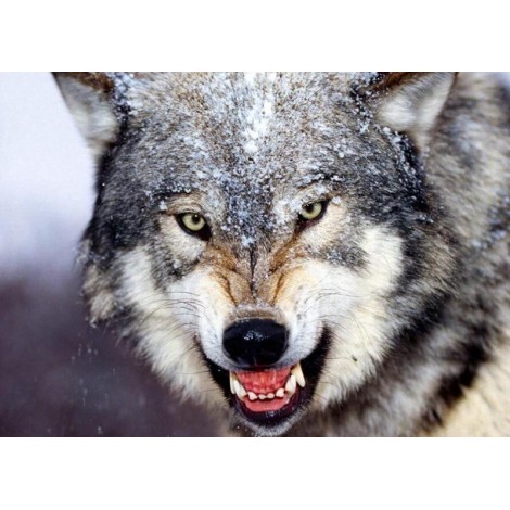 Deadly Wolf 5D DIY Paint By Diamond Kit