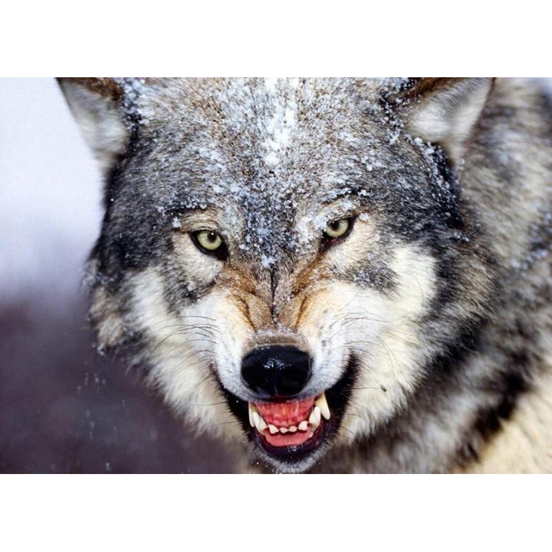 Deadly Wolf 5D DIY P...