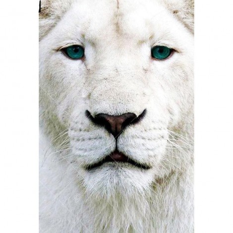 White Lion 5D DIY Paint By Diamond Kit