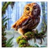 Animal Owl Home 5D DIY Paint By Diamond Kit