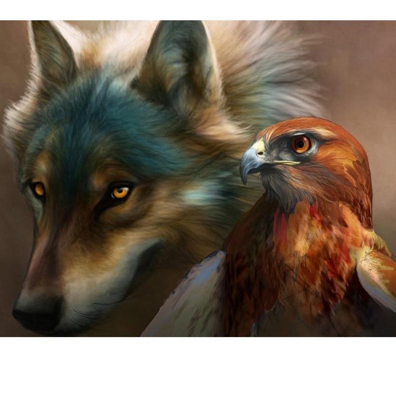 Wolf & Hawk 5D D...