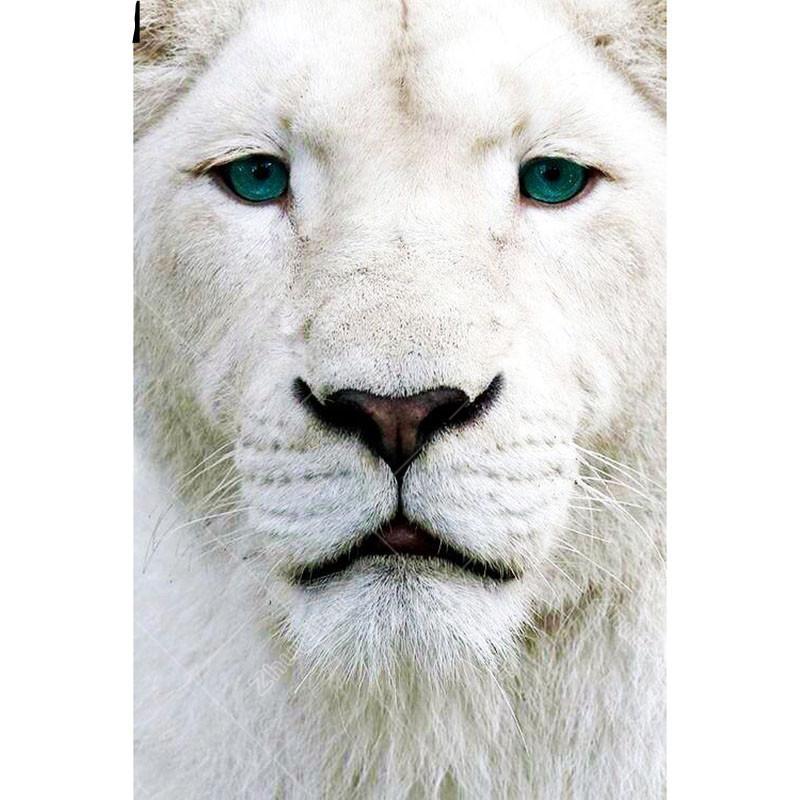 White Lion 5D DIY Pa...