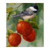 Bird On Apple Tree 5D DIY Paint By Diamond Kit